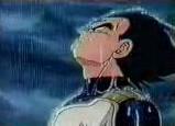 vegeta