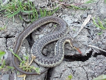 defensive posture