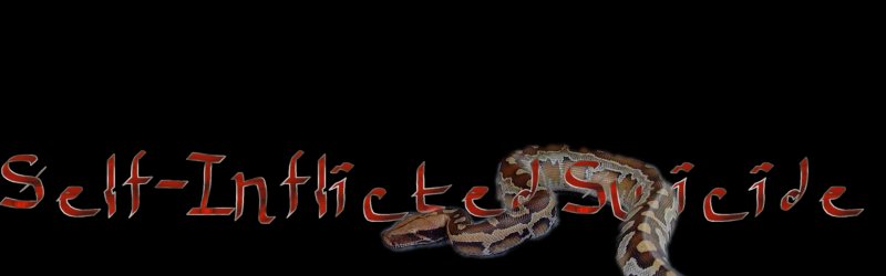 blood python