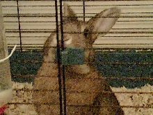 Derek