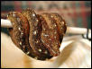 chondro