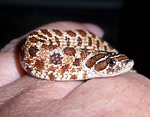 BB in Sept13