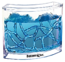Ant Farm