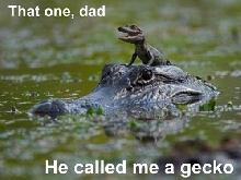 Called me a Gecko