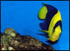 Saltwater Photos