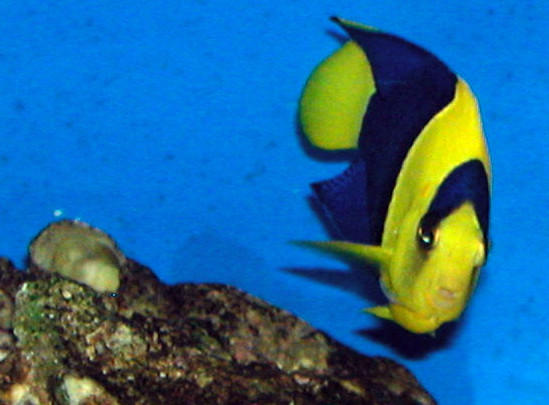 Saltwater Photos