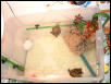 New basking area #2