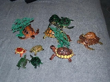 Turtle Dolls