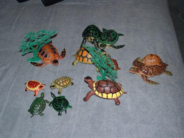 Turtle Dolls
