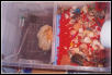 Their Rubbermaid (old setup)