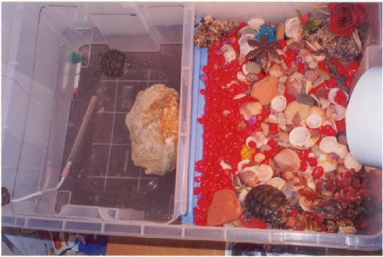 Their Rubbermaid (old setup)