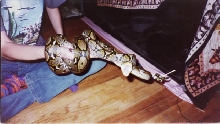 BOOGER goes for Kathy's arm!!