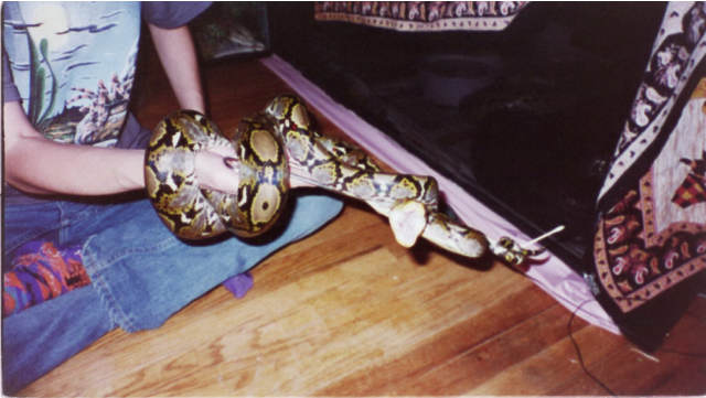 BOOGER goes for Kathy's arm!!