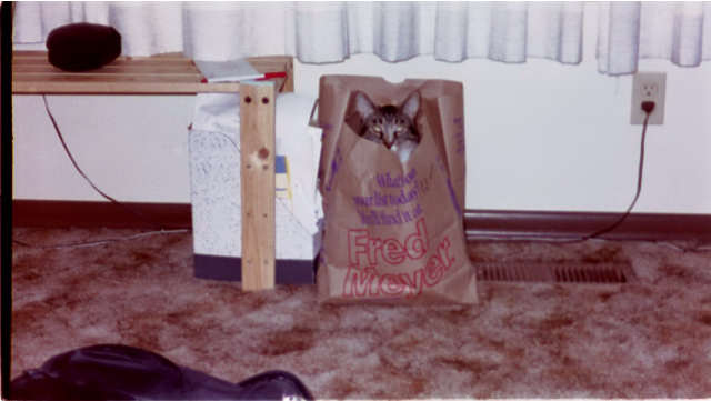 Magnus in a bag