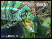 Antony - 2