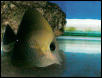Saltwater Photos