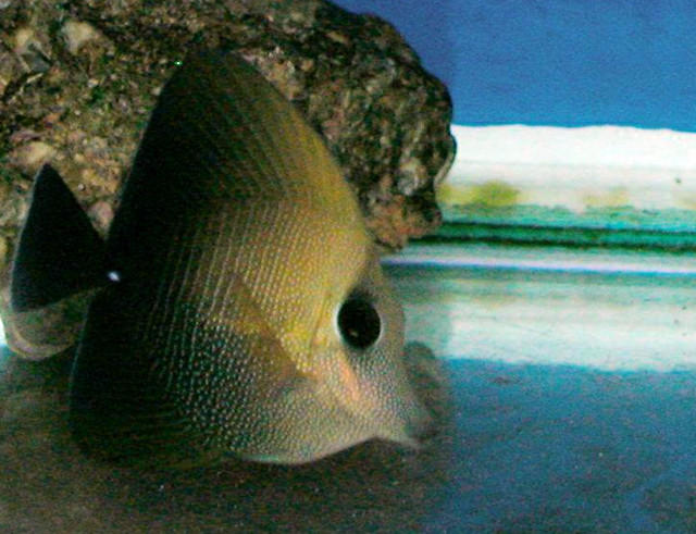 Saltwater Photos