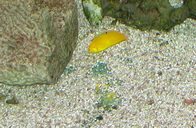 Saltwater Photos