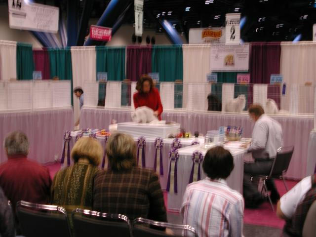 CFA Nationals 2002 - Houston, Texas