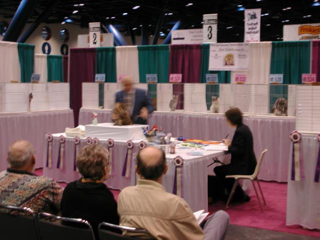 CFA Nationals 2002 - Houston, Texas