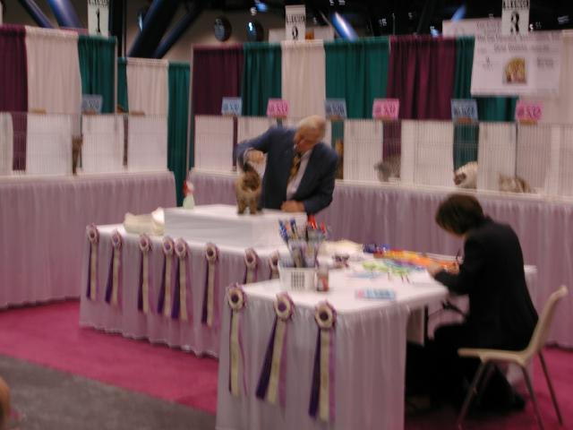 CFA Nationals 2002 - Houston, Texas