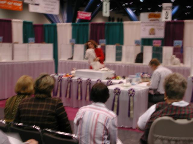 CFA Nationals 2002 - Houston, Texas