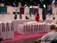 CFA Nationals 2002 - Houston, Texas