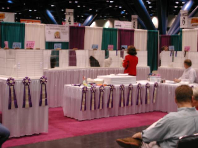 CFA Nationals 2002 - Houston, Texas