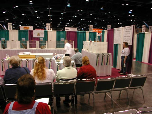 CFA Nationals 2002 - Houston, Texas