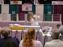 CFA Nationals 2002 - Houston, Texas
