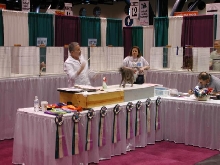 CFA Nationals 2002 - Houston, Texas