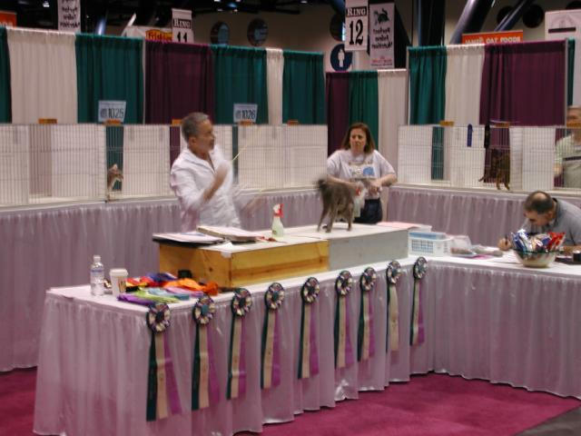 CFA Nationals 2002 - Houston, Texas
