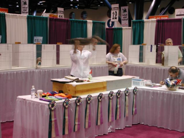 CFA Nationals 2002 - Houston, Texas