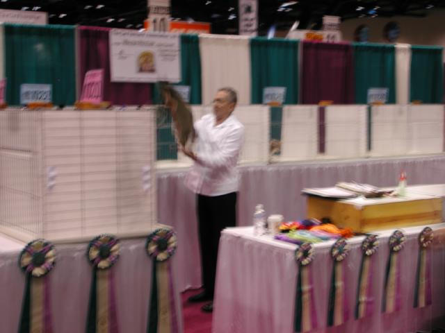 CFA Nationals 2002 - Houston, Texas