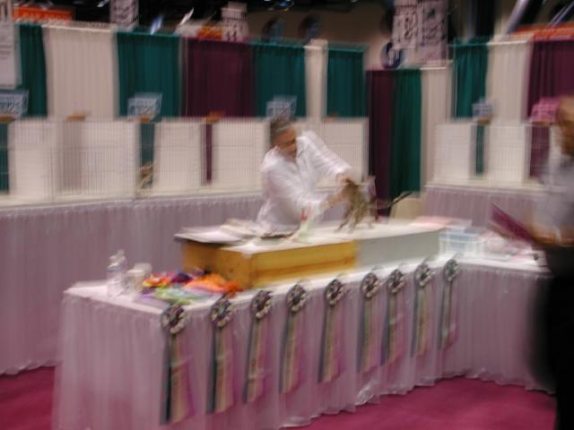 CFA Nationals 2002 - Houston, Texas