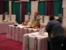 CFA Nationals 2002 - Houston, Texas