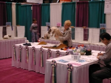 CFA Nationals 2002 - Houston, Texas