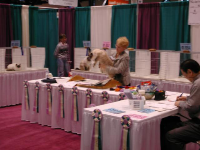 CFA Nationals 2002 - Houston, Texas