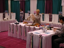 CFA Nationals 2002 - Houston, Texas