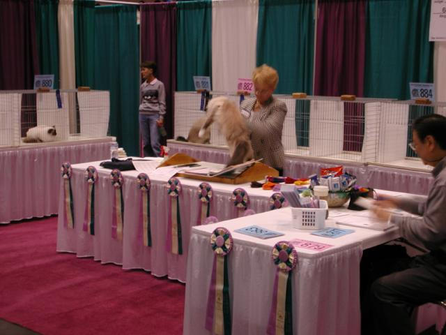 CFA Nationals 2002 - Houston, Texas