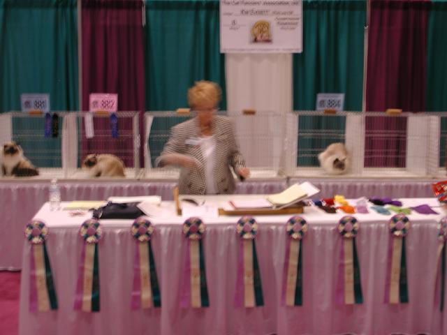 CFA Nationals 2002 - Houston, Texas