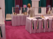 CFA Nationals 2002 - Houston, Texas