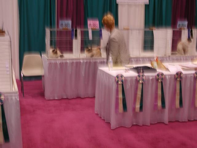 CFA Nationals 2002 - Houston, Texas