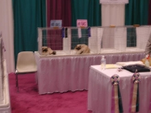 CFA Nationals 2002 - Houston, Texas