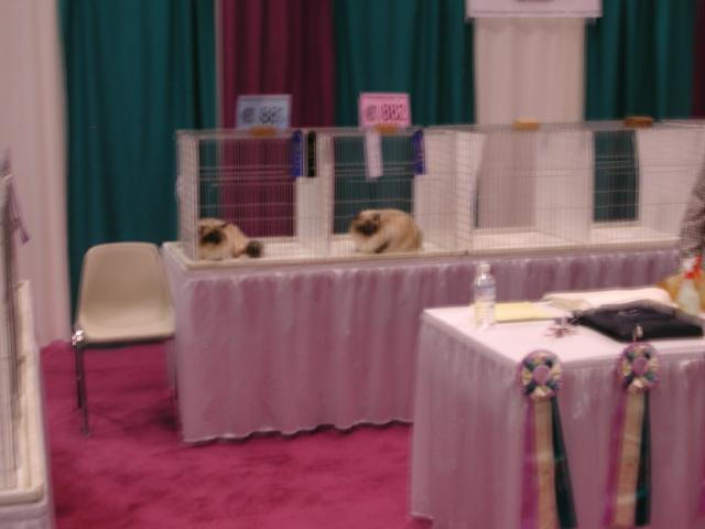 CFA Nationals 2002 - Houston, Texas