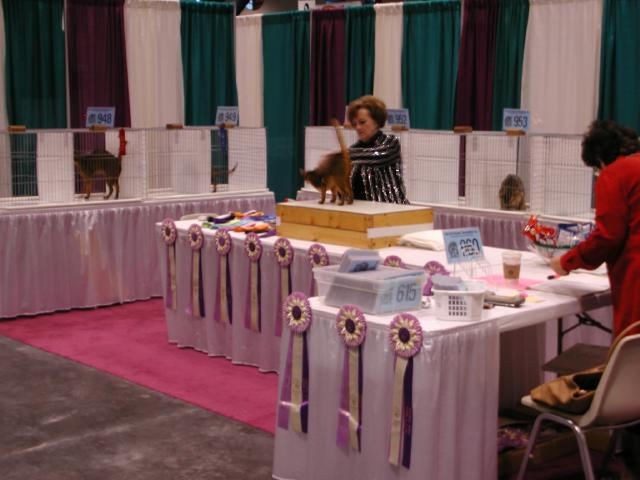 CFA Nationals 2002 - Houston, Texas
