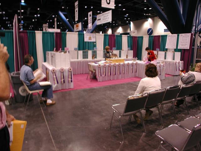CFA Nationals 2002 - Houston, Texas
