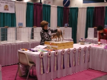 CFA Nationals 2002 - Houston, Texas