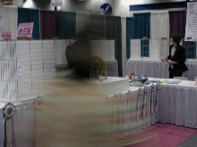 CFA Nationals 2002 - Houston, Texas