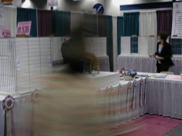 CFA Nationals 2002 - Houston, Texas